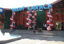izmir organizasyon şekilli balon süsleme hizmeti doğum günü partisi