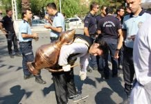 İzmir Polis Haftası Etkinlikleri Limonata İkramı İzmir Organizasyon